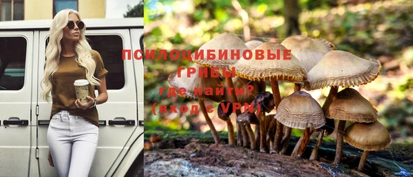 a pvp Абдулино